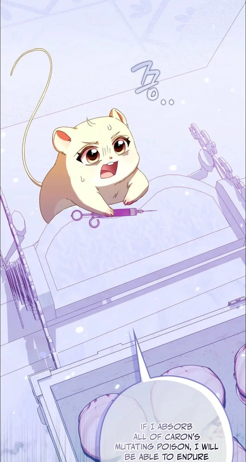 Cinderella's Pocket-Sized Protector Chapter 47 page 93