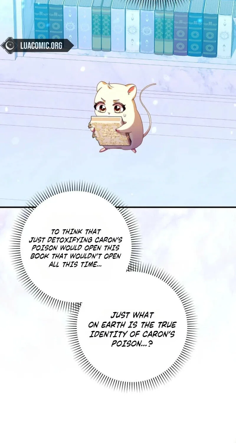 Cinderella's Pocket-Sized Protector Chapter 48 page 6