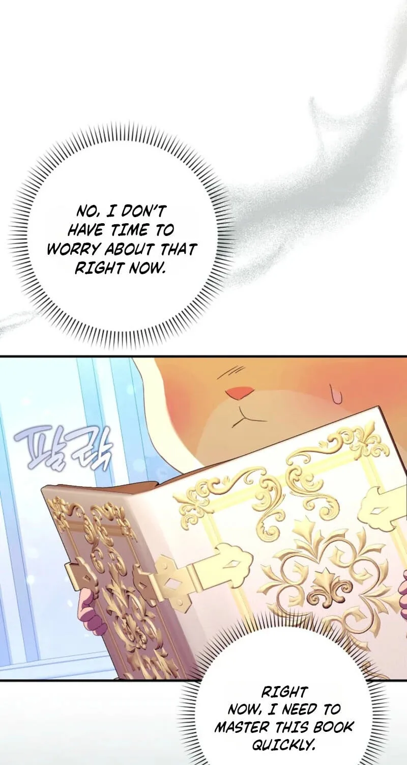 Cinderella's Pocket-Sized Protector Chapter 48 page 7