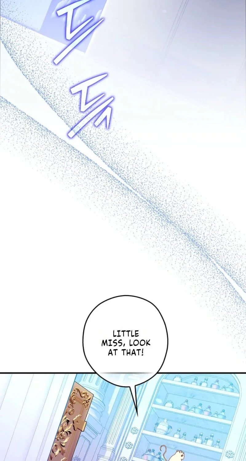 Cinderella's Pocket-Sized Protector Chapter 48 page 3