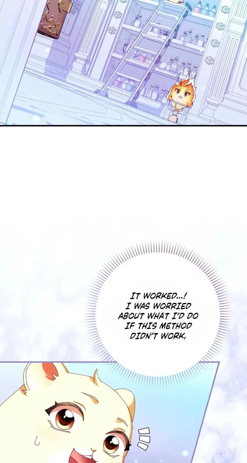Cinderella's Pocket-Sized Protector Chapter 48 page 4