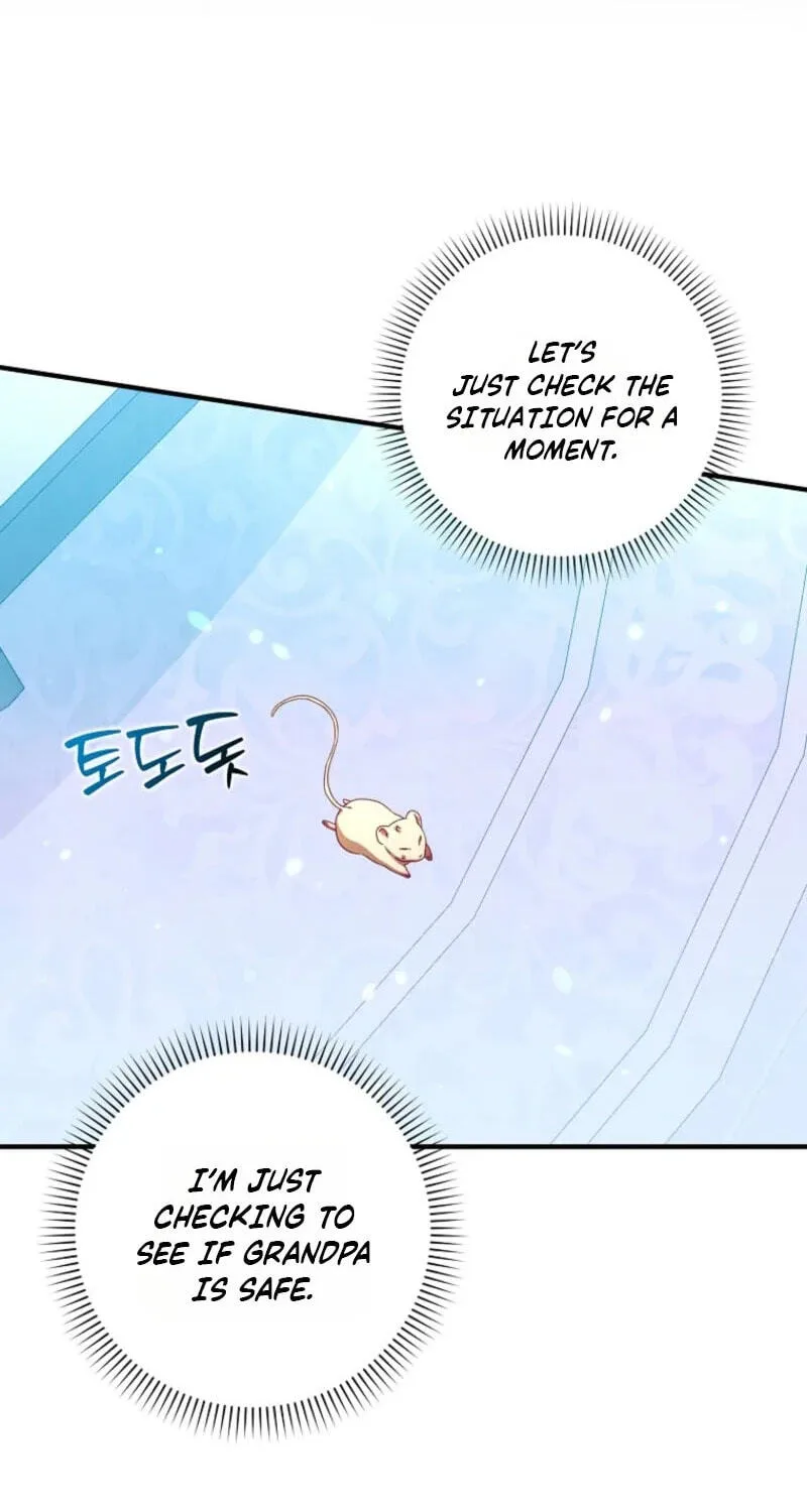 Cinderella's Pocket-Sized Protector Chapter 48 page 21