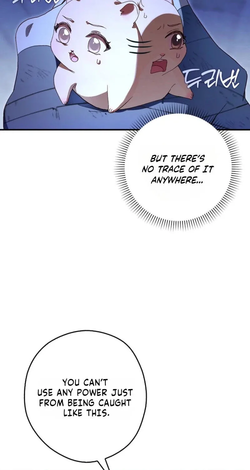 Cinderella's Pocket-Sized Protector Chapter 48 page 31