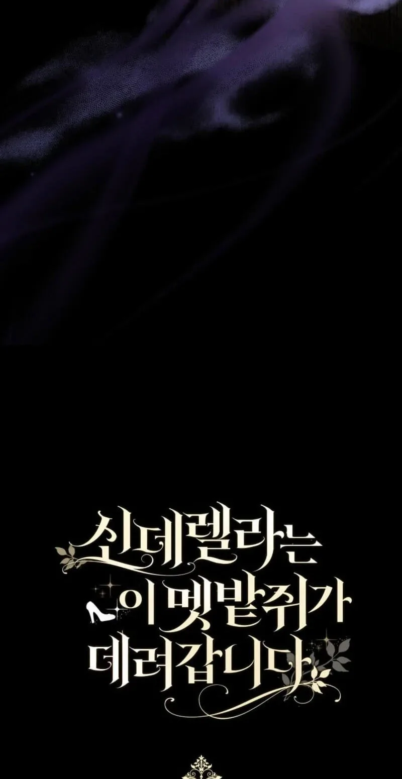 Cinderella's Pocket-Sized Protector Chapter 48 page 82