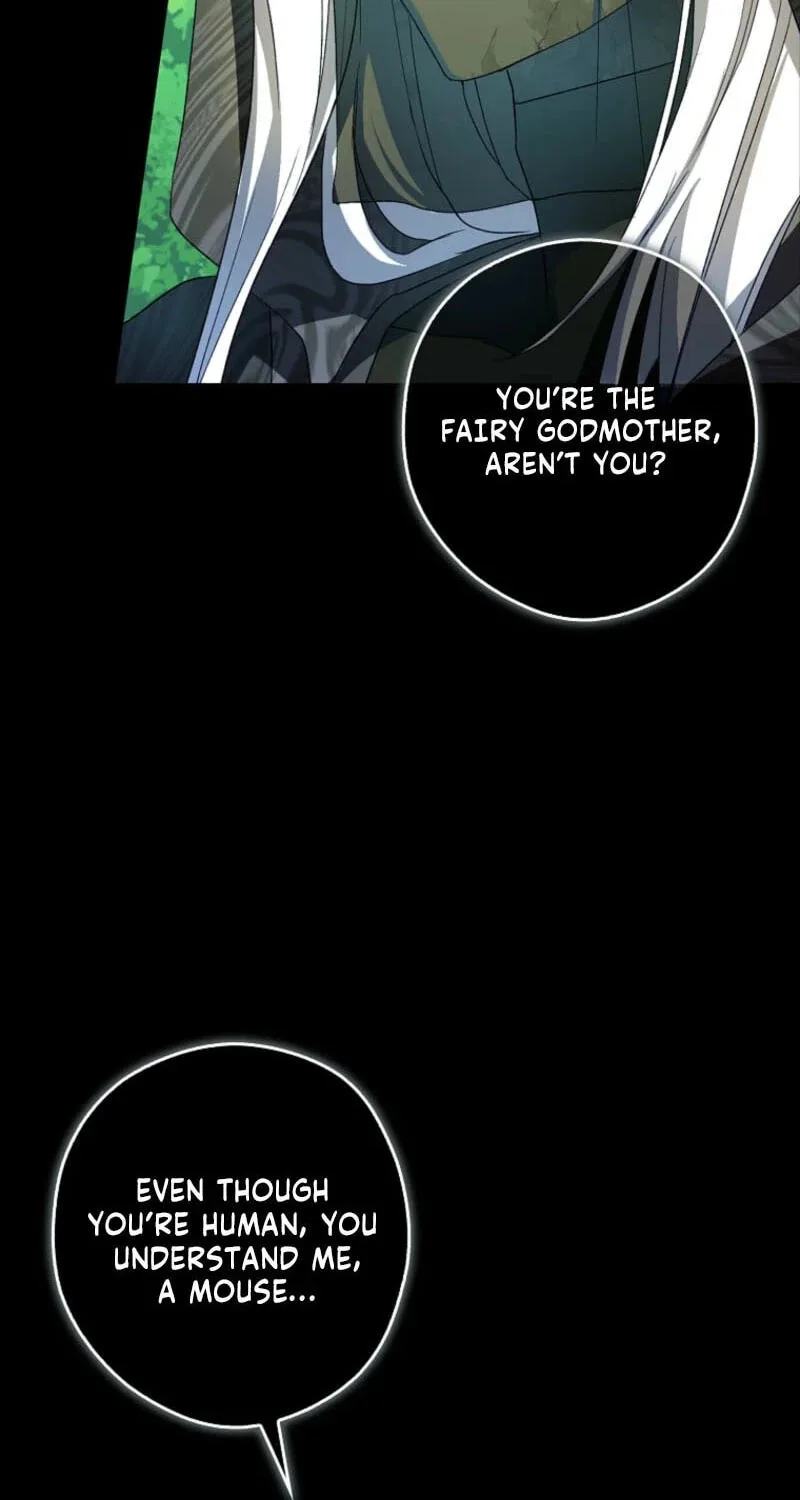 Cinderella's Pocket-Sized Protector Chapter 49 page 42
