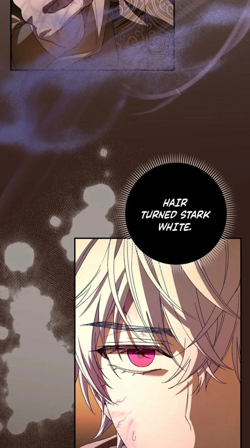 Cinderella's Pocket-Sized Protector Chapter 49 page 51