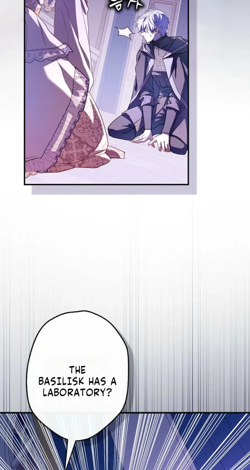 Cinderella's Pocket-Sized Protector Chapter 50 page 12