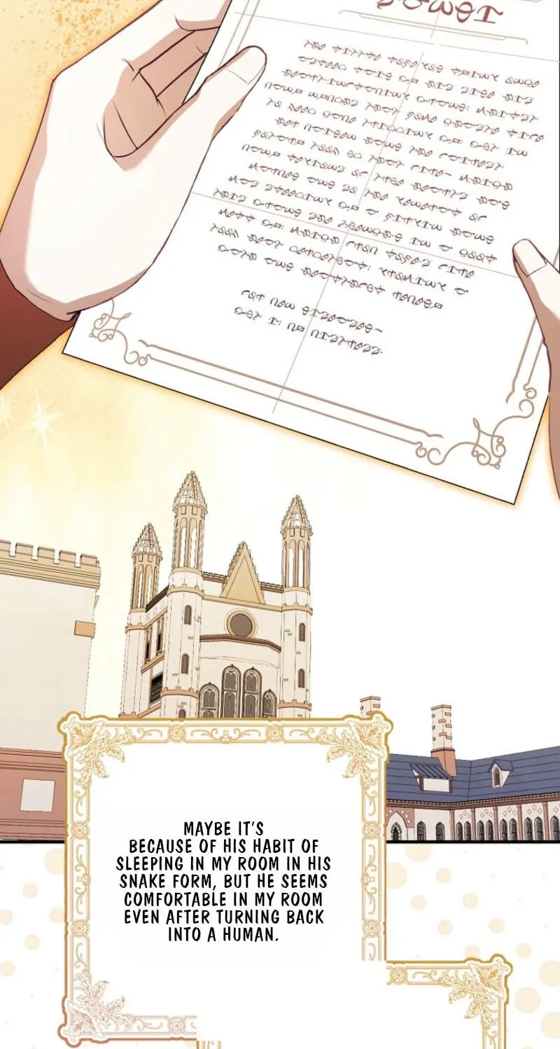 Cinderella's Pocket-Sized Protector Chapter 50 page 62