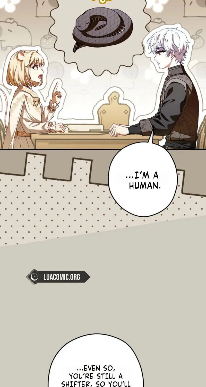 Cinderella's Pocket-Sized Protector Chapter 51 page 45