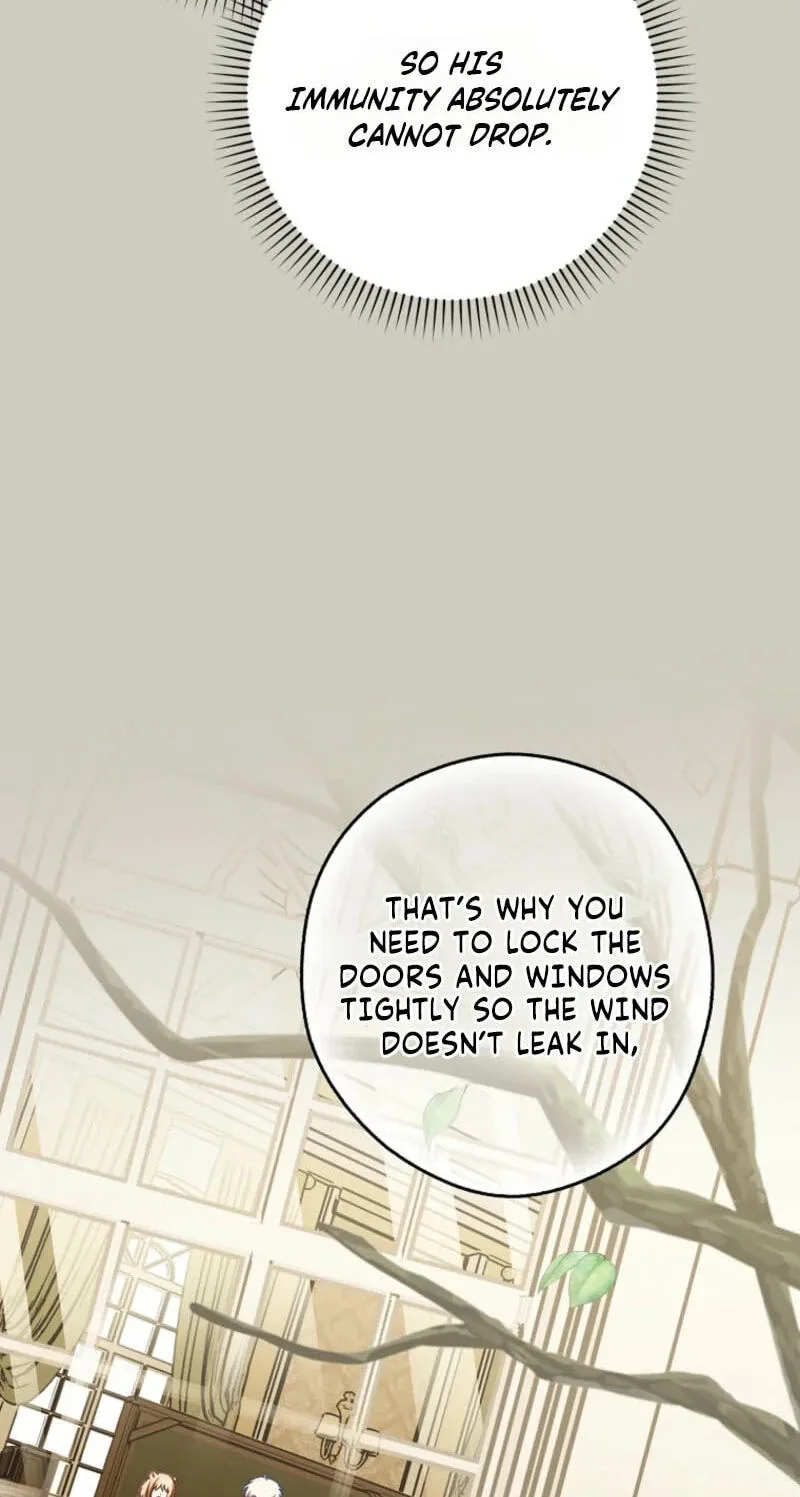 Cinderella's Pocket-Sized Protector Chapter 51 page 47
