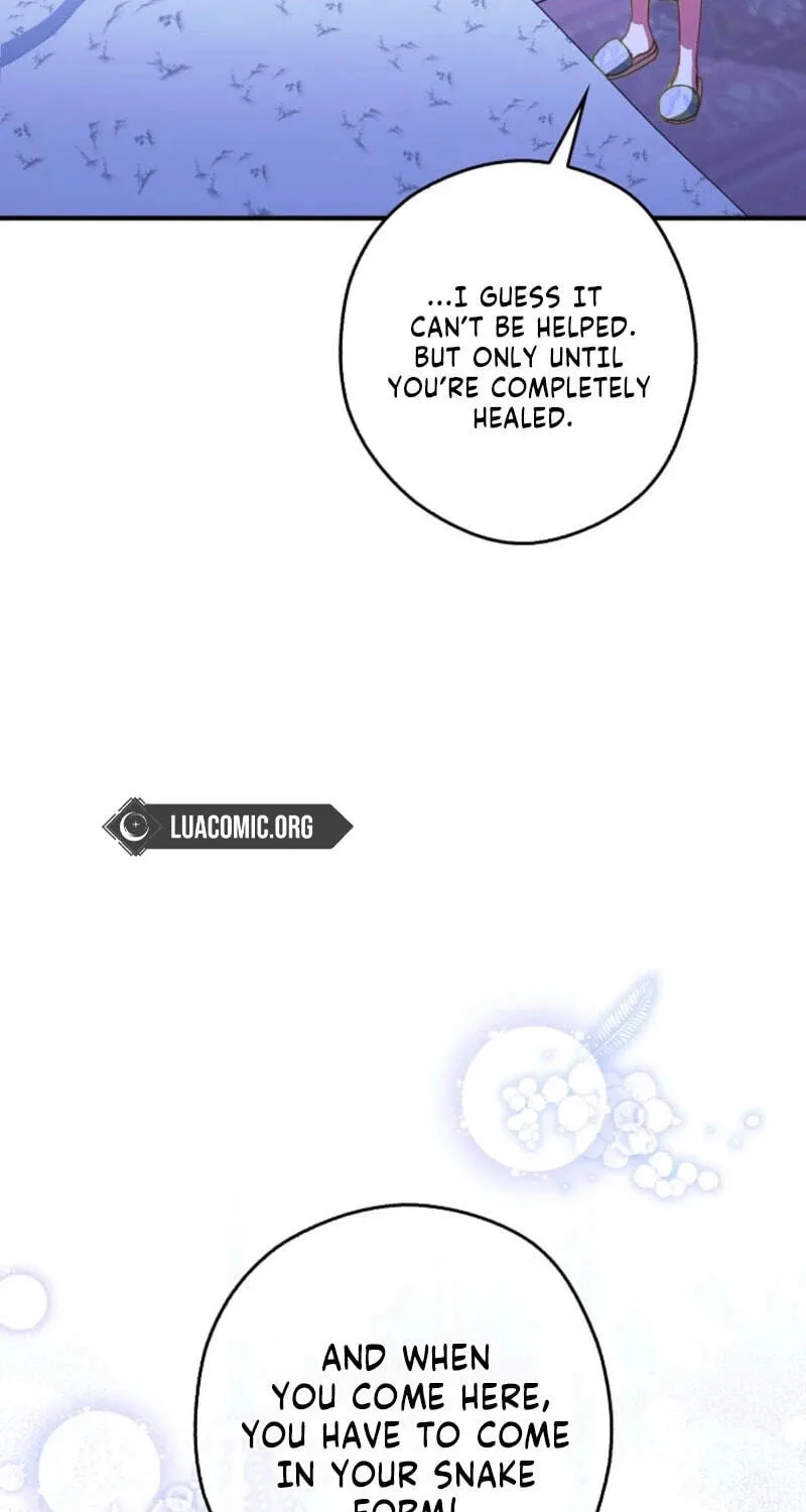 Cinderella's Pocket-Sized Protector Chapter 51 page 85