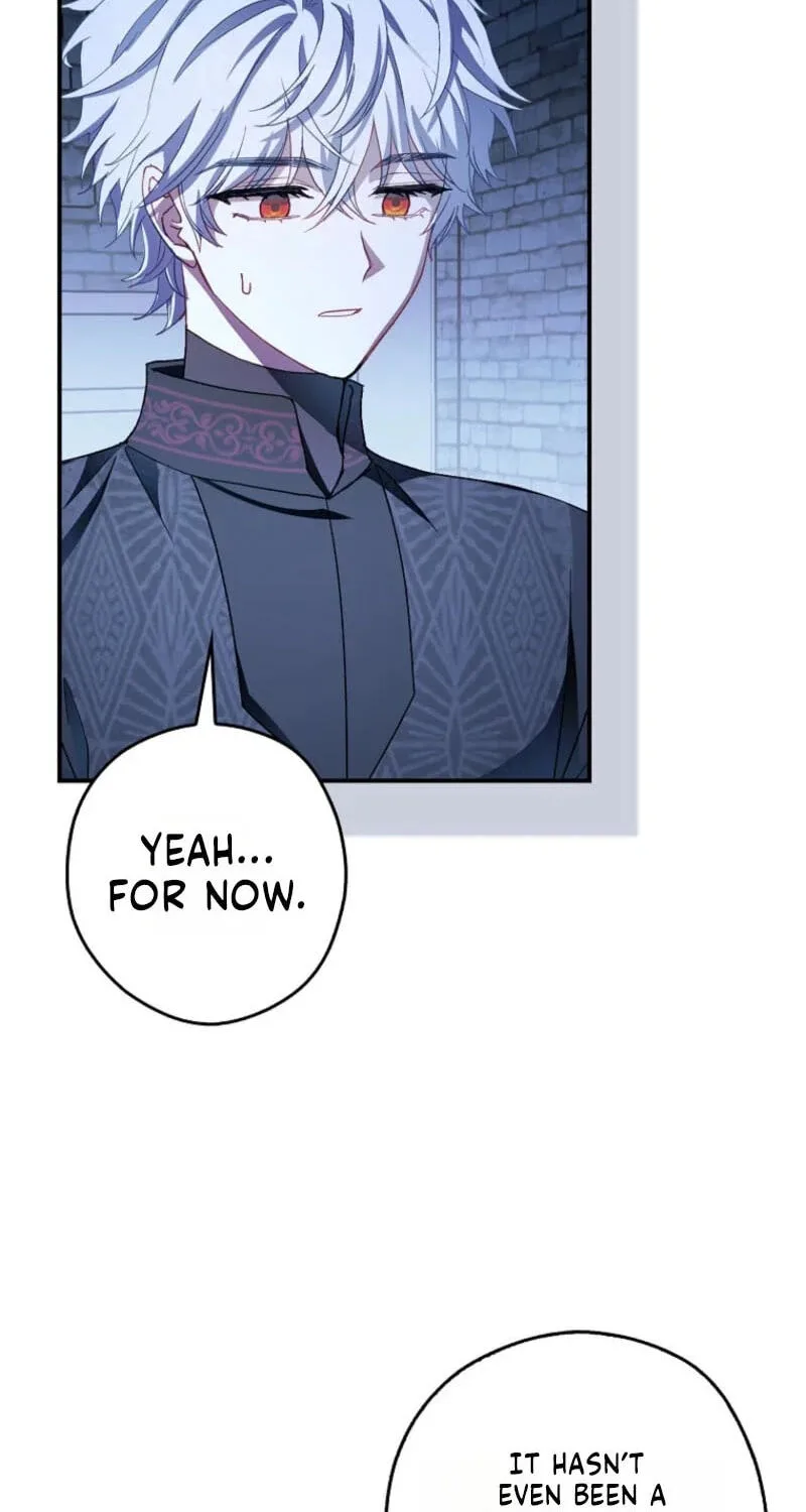 Cinderella's Pocket-Sized Protector Chapter 52 page 44