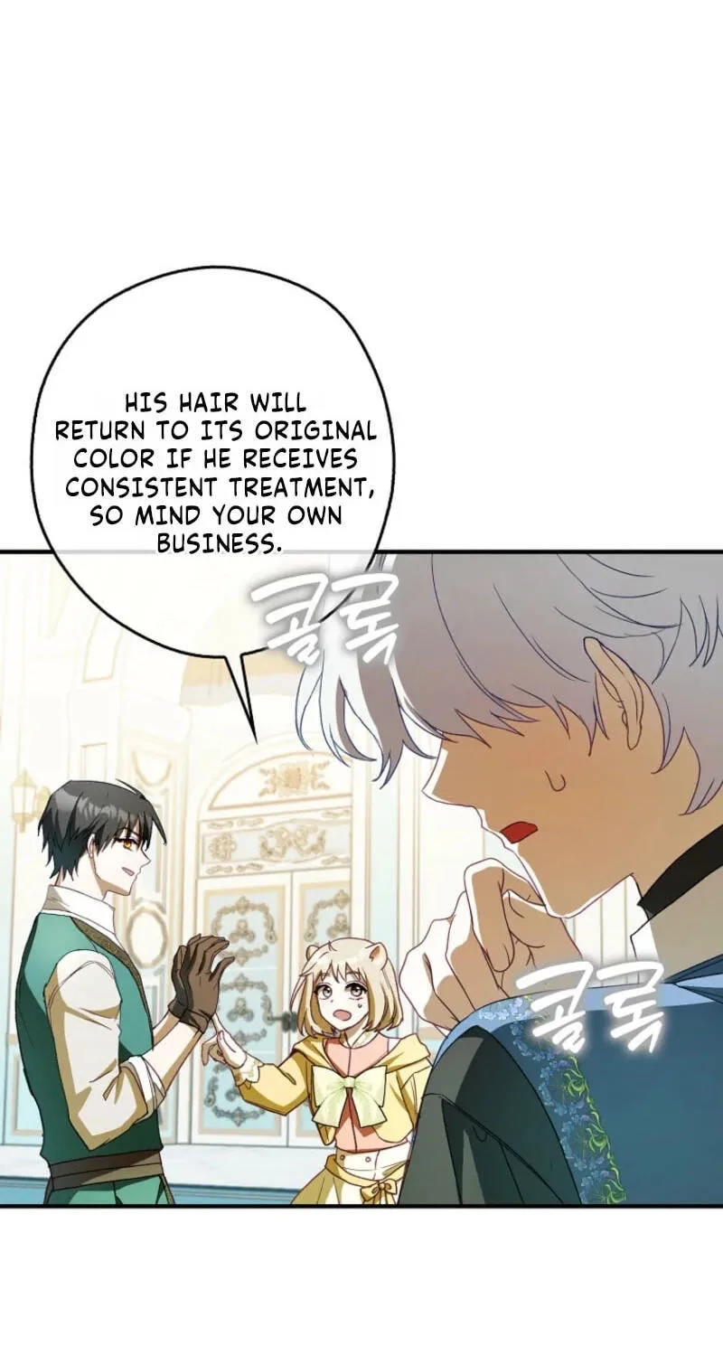 Cinderella's Pocket-Sized Protector Chapter 52 page 74
