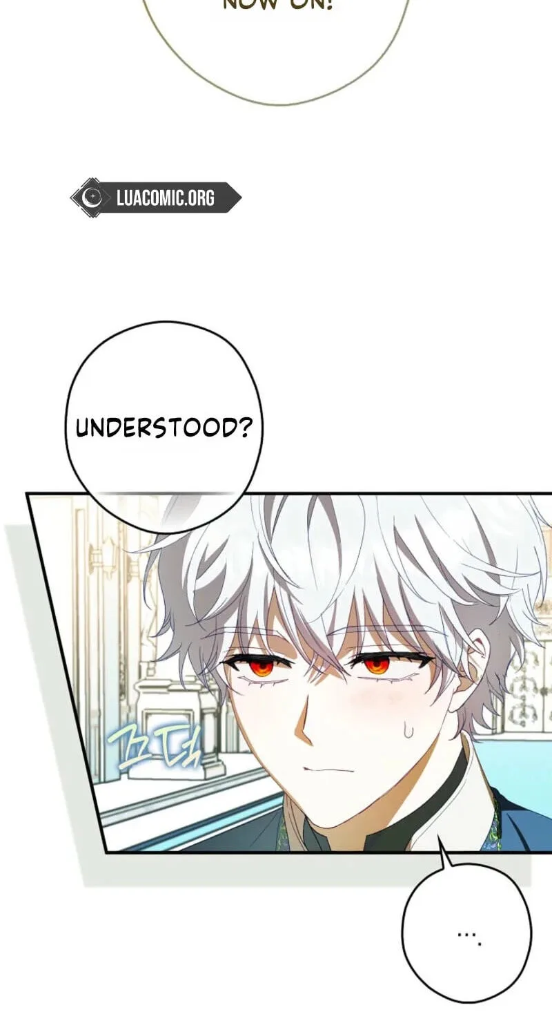 Cinderella's Pocket-Sized Protector Chapter 53 page 14