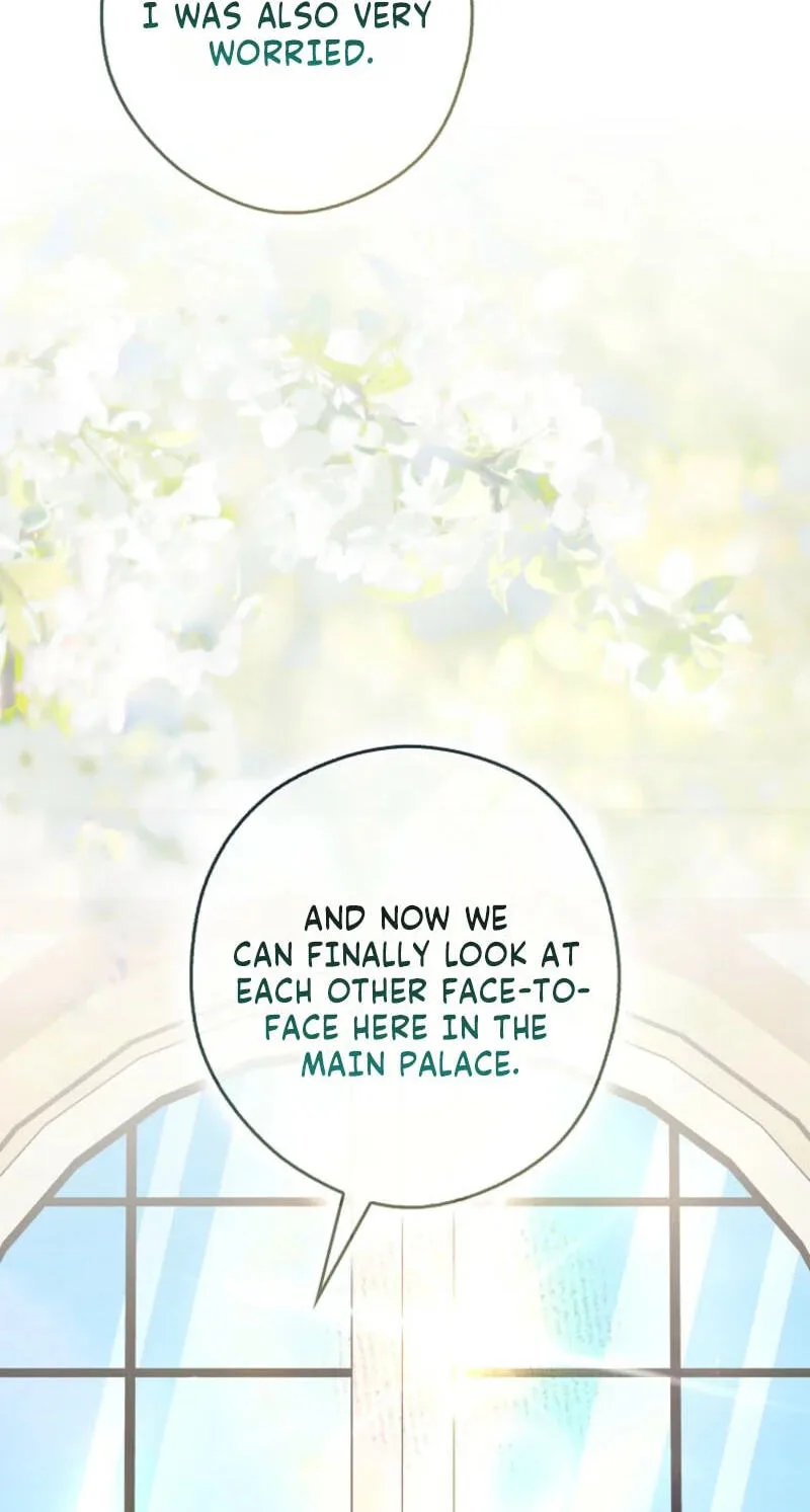Cinderella's Pocket-Sized Protector Chapter 53 page 8