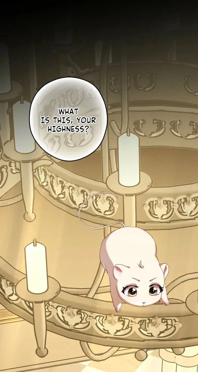 Cinderella's Pocket-Sized Protector Chapter 53 page 48