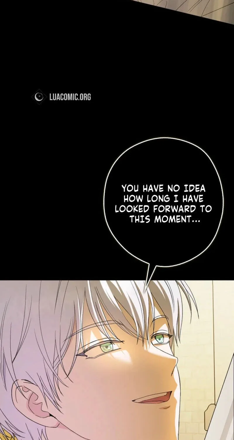 Cinderella's Pocket-Sized Protector Chapter 53 page 53
