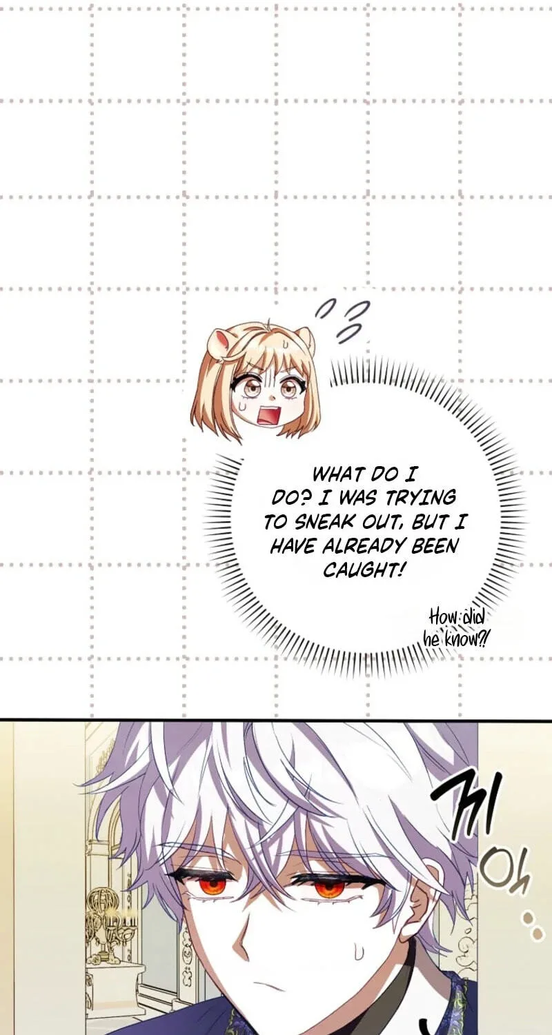 Cinderella's Pocket-Sized Protector Chapter 53 page 71