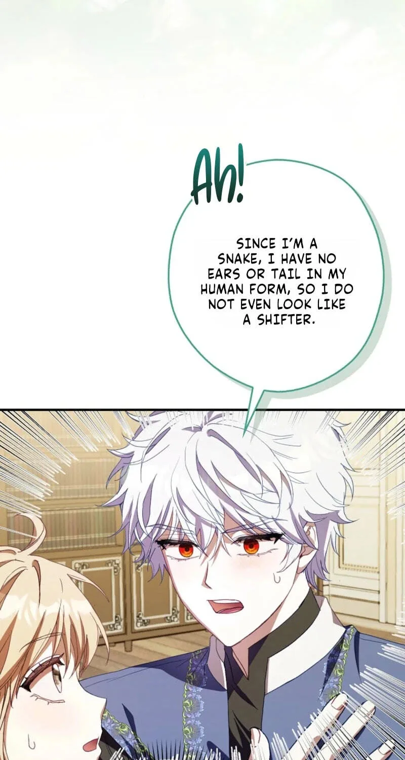 Cinderella's Pocket-Sized Protector Chapter 53 page 81