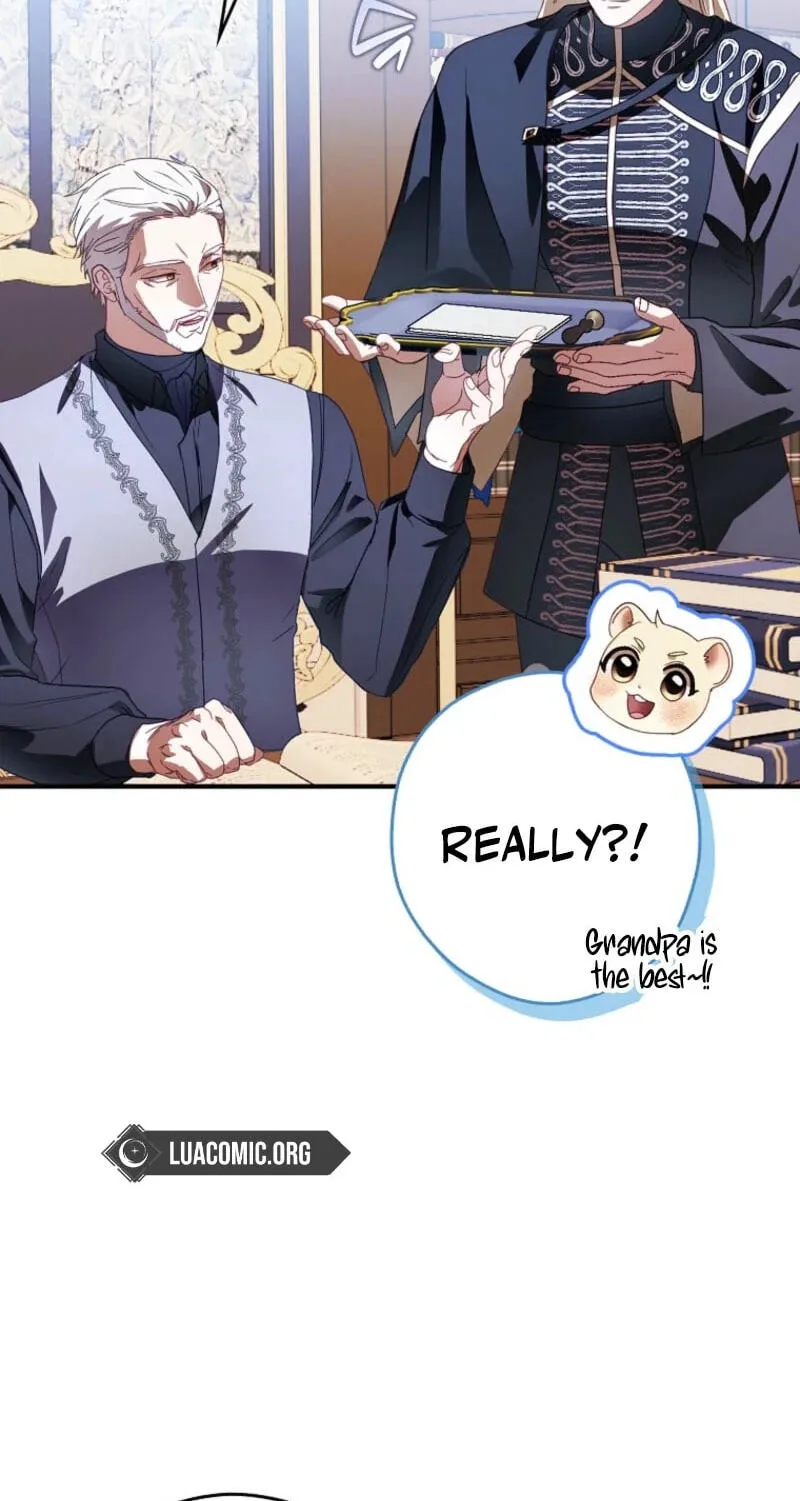 Cinderella's Pocket-Sized Protector Chapter 54 page 13