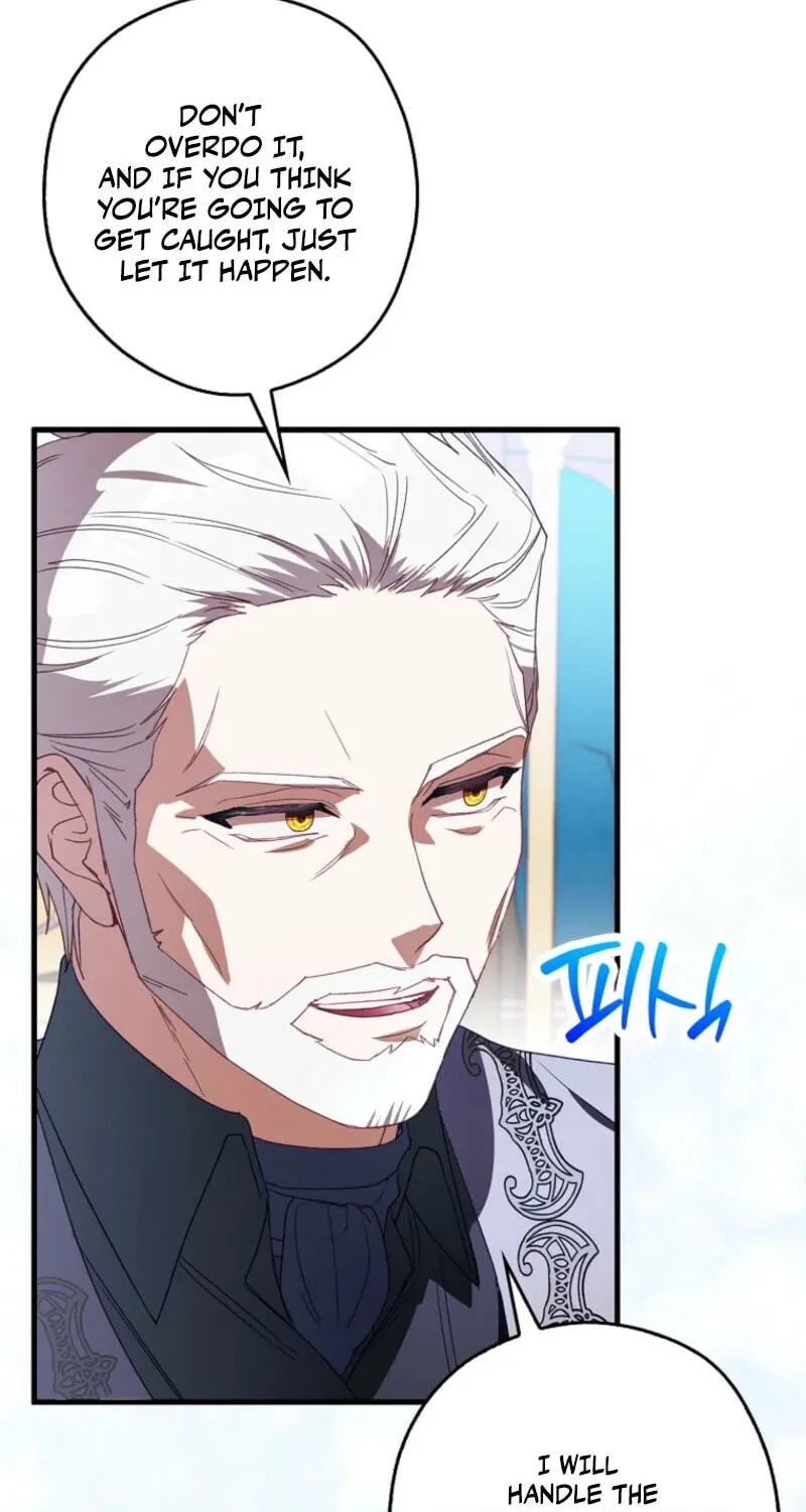 Cinderella's Pocket-Sized Protector Chapter 54 page 14