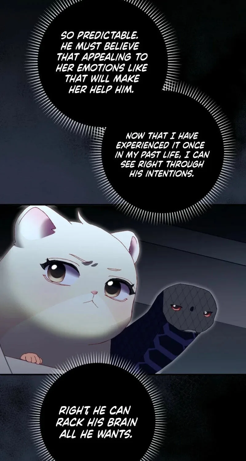 Cinderella's Pocket-Sized Protector Chapter 58 page 13