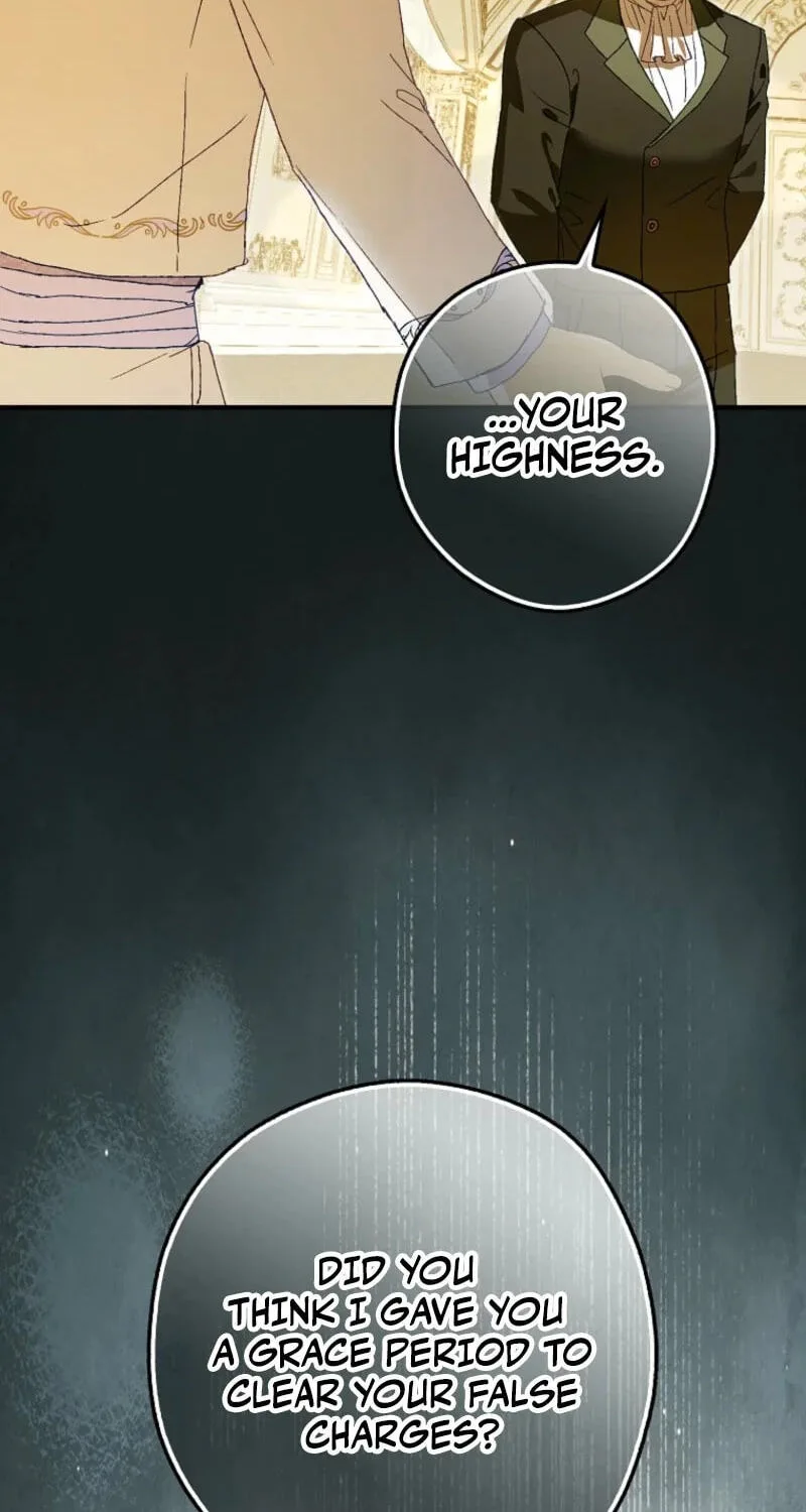 Cinderella's Pocket-Sized Protector Chapter 58 page 28