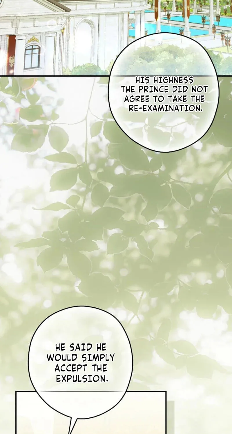 Cinderella's Pocket-Sized Protector Chapter 60 page 24