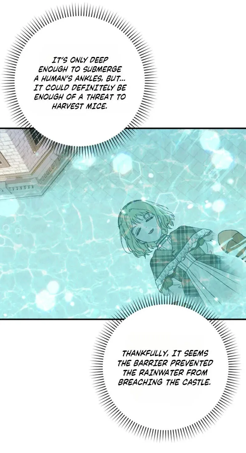 Cinderella's Pocket-Sized Protector Chapter 60 page 73