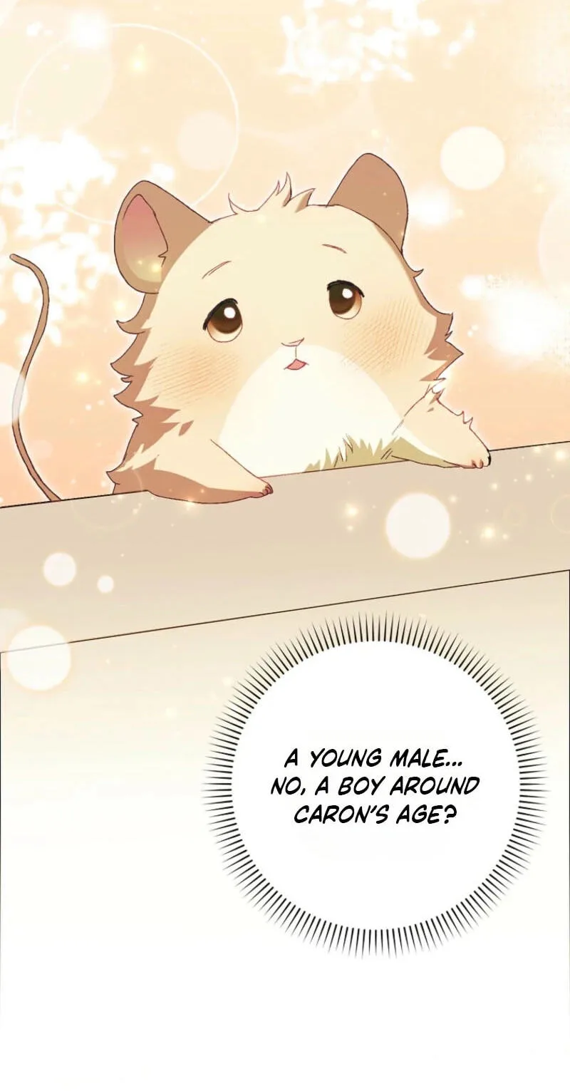 Cinderella's Pocket-Sized Protector Chapter 61 page 2