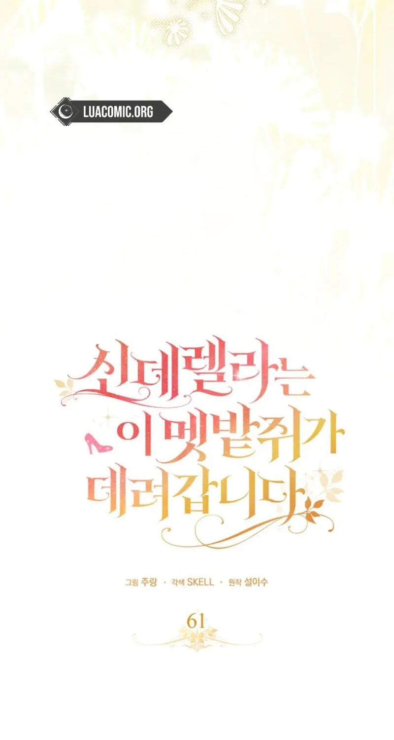 Cinderella's Pocket-Sized Protector Chapter 61 page 61