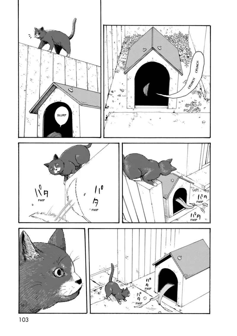 Dainana Joshikai Houkou Chapter 66 page 15