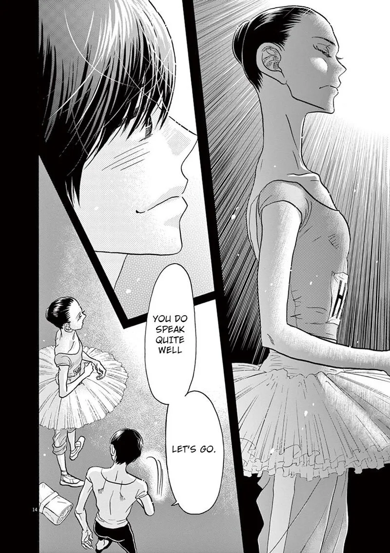 Dance Dance Danseur Chapter 119 page 14