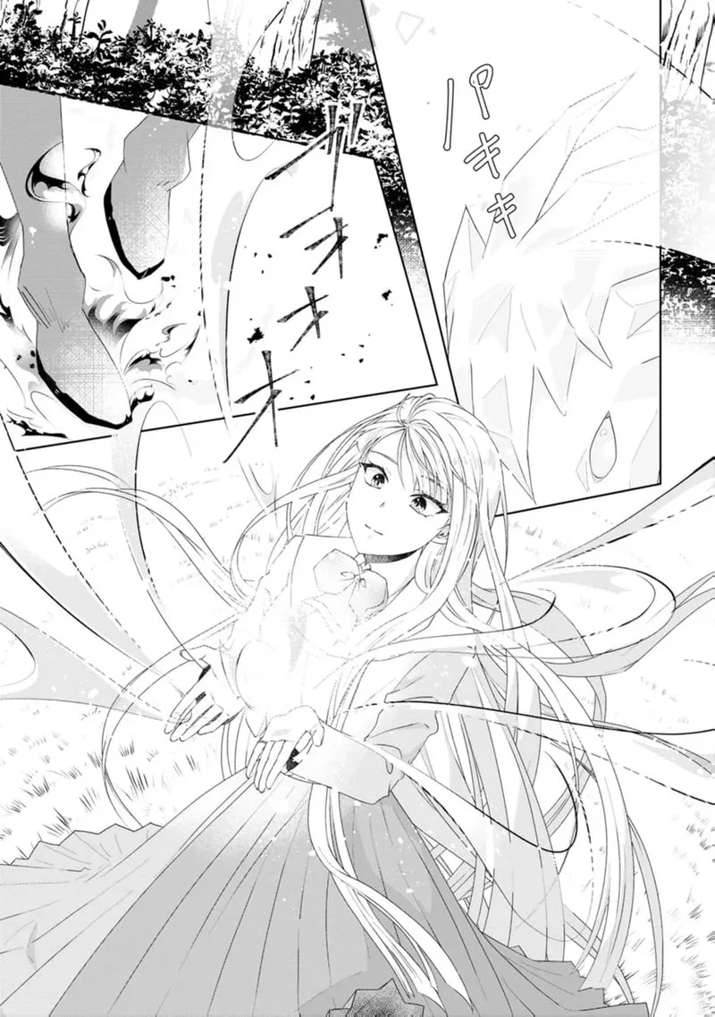Danzaisareteiru Akuyaku Reijou to Irekawatte Konyakusha-tachi wo Buttobashitara, Dekiai ga Matte Imashita Chapter 12 page 24