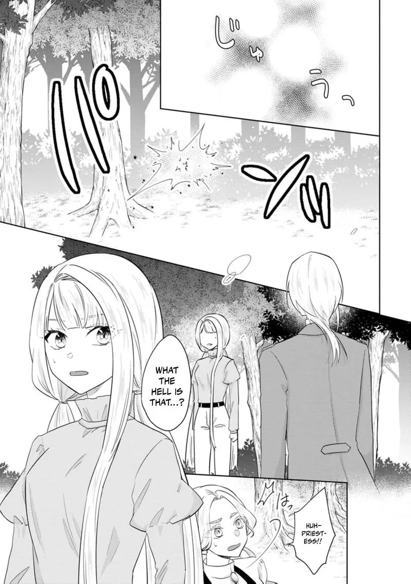 Danzaisareteiru Akuyaku Reijou to Irekawatte Konyakusha-tachi wo Buttobashitara, Dekiai ga Matte Imashita Chapter 27 page 24