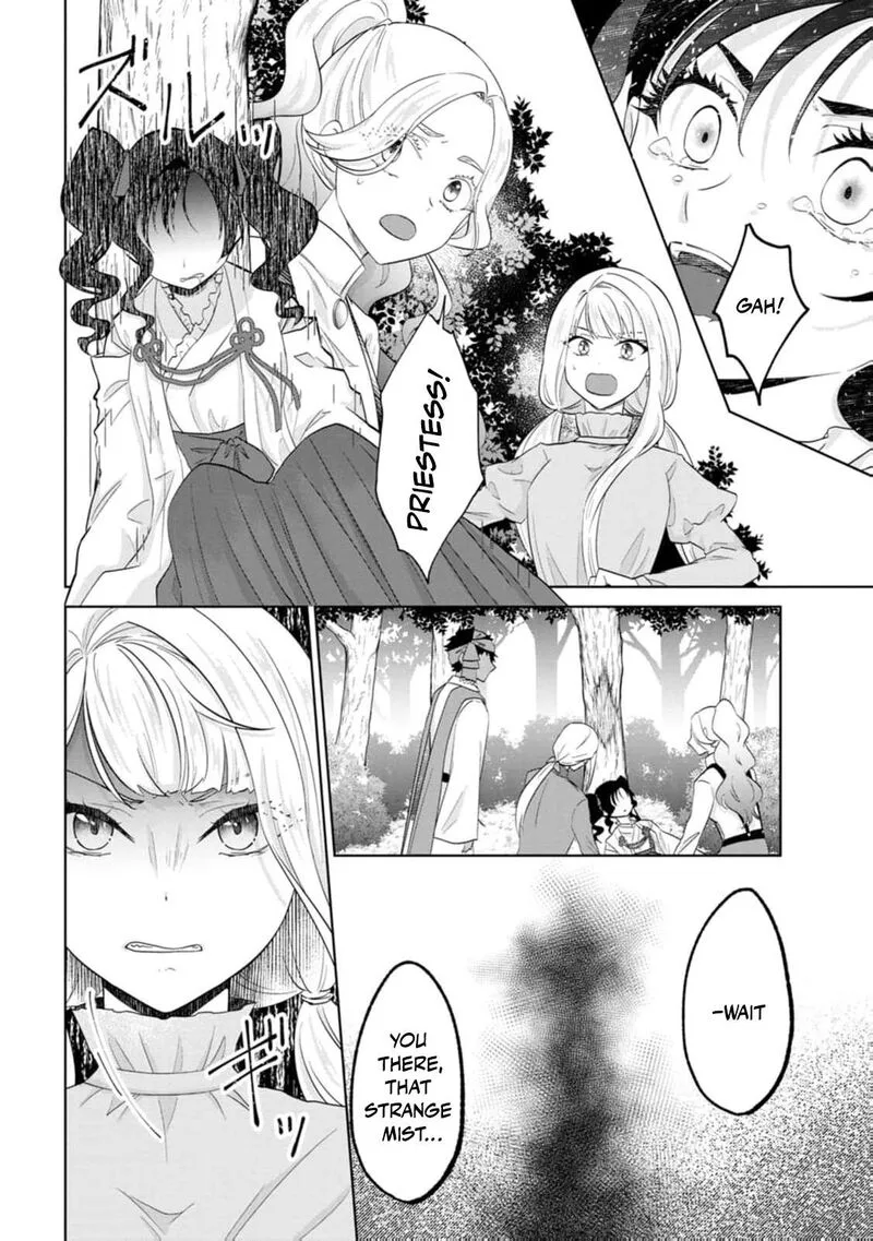 Danzaisareteiru Akuyaku Reijou to Irekawatte Konyakusha-tachi wo Buttobashitara, Dekiai ga Matte Imashita Chapter 27 page 19