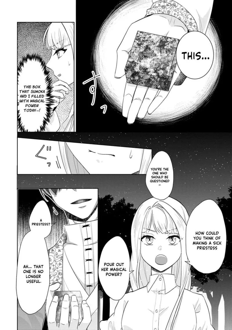 Danzaisareteiru Akuyaku Reijou to Irekawatte Konyakusha-tachi wo Buttobashitara, Dekiai ga Matte Imashita Chapter 29 page 29