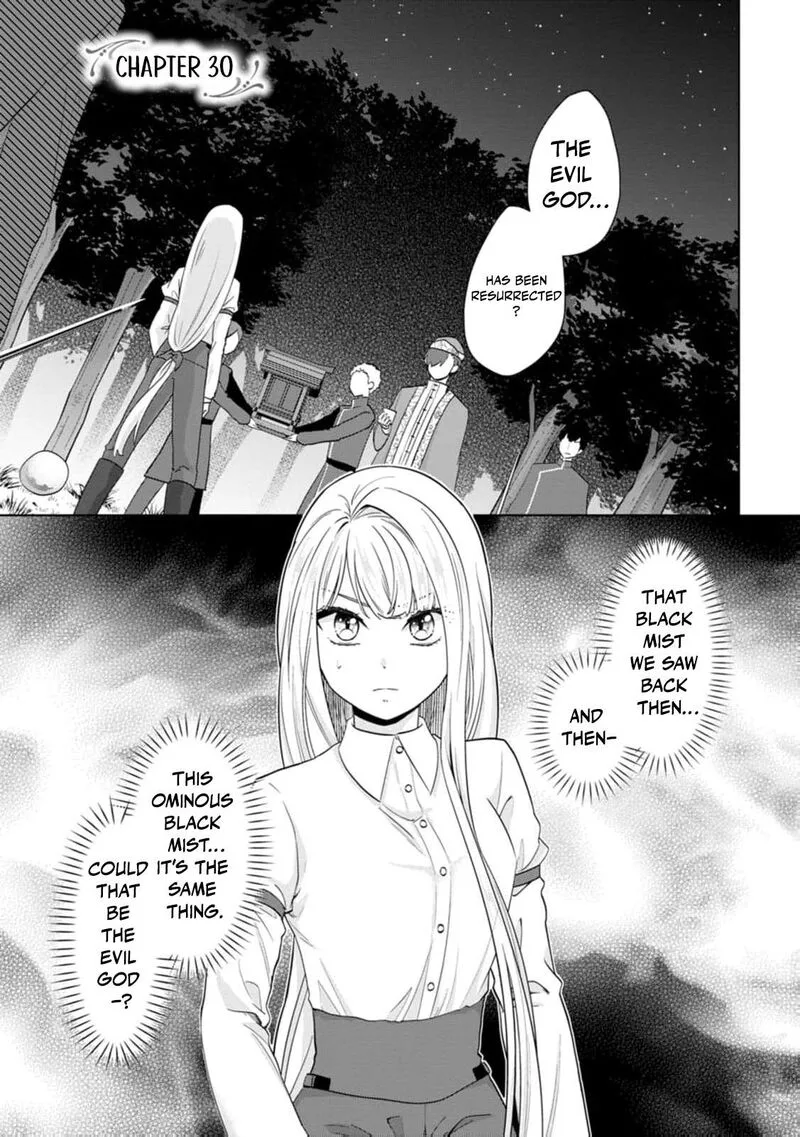 Danzaisareteiru Akuyaku Reijou to Irekawatte Konyakusha-tachi wo Buttobashitara, Dekiai ga Matte Imashita Chapter 30 page 4