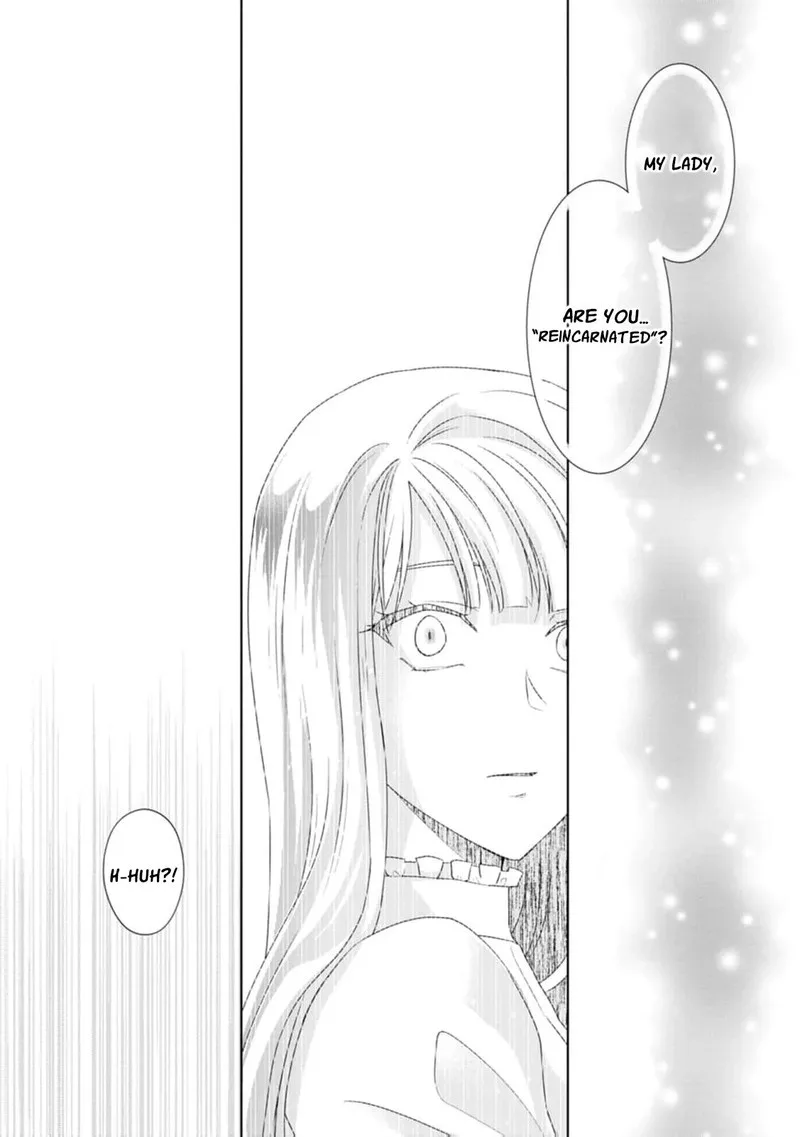 Danzaisareteiru Akuyaku Reijou to Irekawatte Konyakusha-tachi wo Buttobashitara, Dekiai ga Matte Imashita Chapter 9 page 25