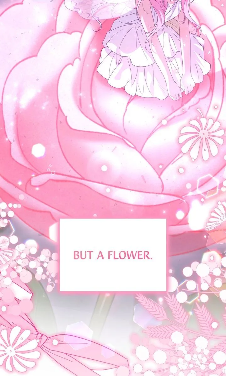 Dear Fairy, Please Contract With Me Chapter 75 page 61