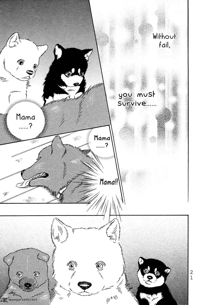 Deep Love - Pao no Monogatari Chapter 1 page 24