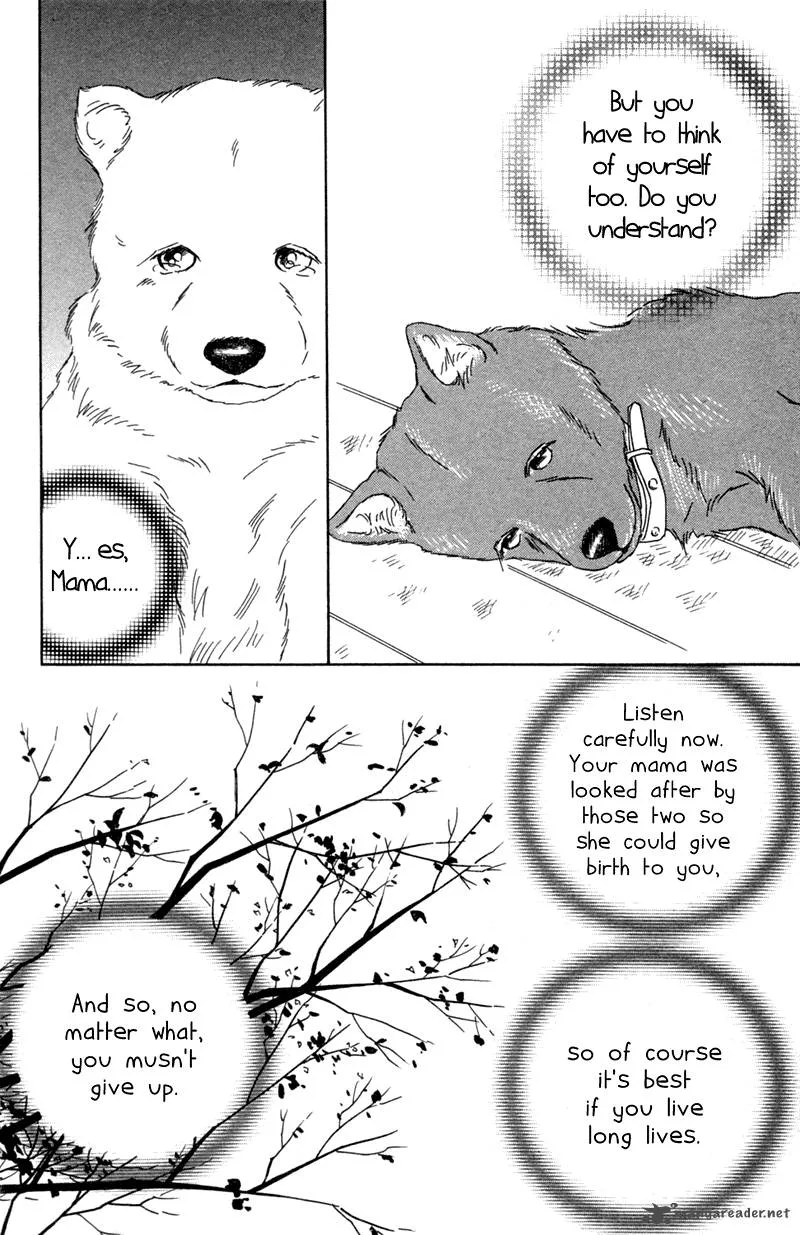 Deep Love - Pao no Monogatari Chapter 1 page 23
