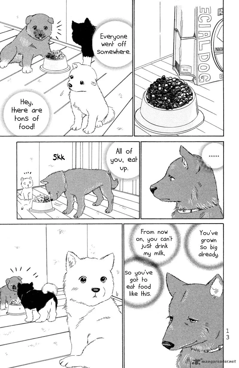 Deep Love - Pao no Monogatari Chapter 1 page 16
