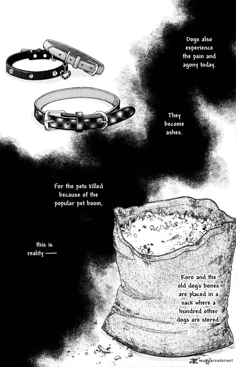 Deep Love - Pao no Monogatari Chapter 5 page 31