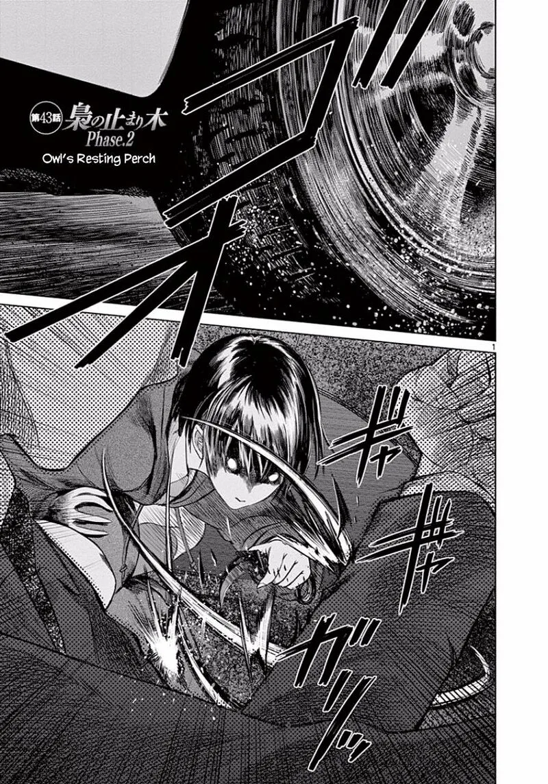 Destro 246 Chapter 43 page 7