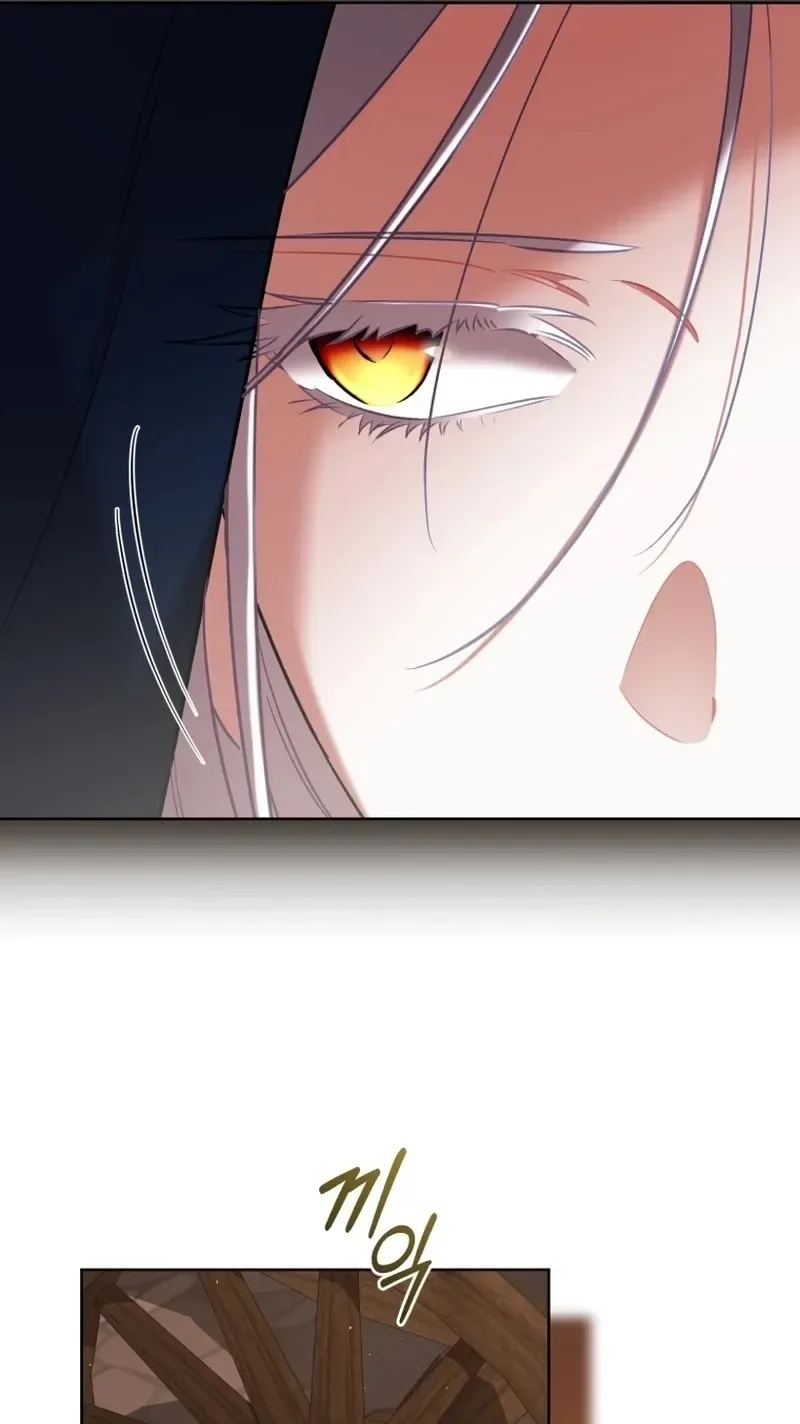 Don’t Worry, We Both Agreed to this Fraudulent Marriage Chapter 85 page 64