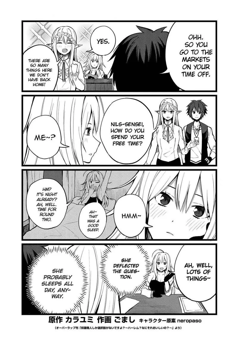 Dorei Shounin Shika Sentakushi ga Nai Desu yo? - Harem? Nani Sore Oishii no? Chapter 19.5 page 1