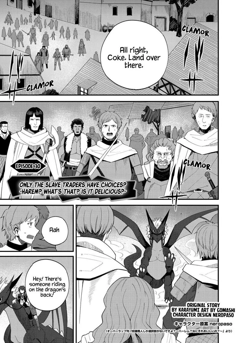 Dorei Shounin Shika Sentakushi ga Nai Desu yo? - Harem? Nani Sore Oishii no? Chapter 30 page 1