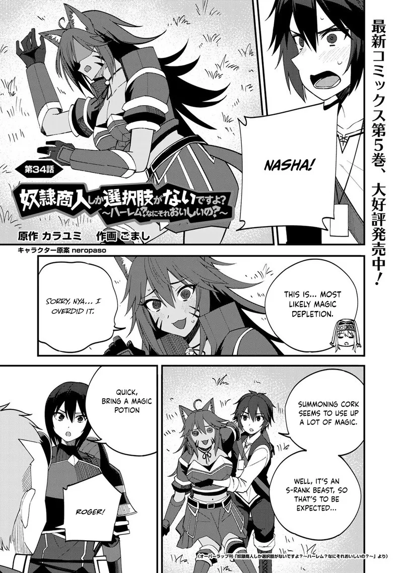 Dorei Shounin Shika Sentakushi ga Nai Desu yo? - Harem? Nani Sore Oishii no? Chapter 34 page 1