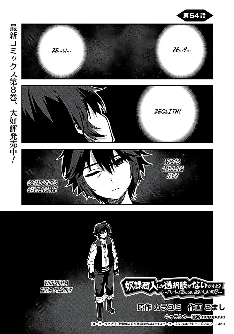 Dorei Shounin Shika Sentakushi ga Nai Desu yo? - Harem? Nani Sore Oishii no? Chapter 54 page 2